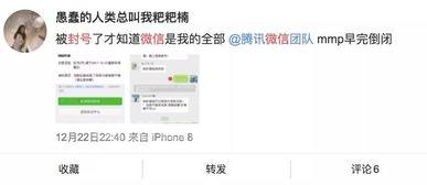 微信封号软件(微信封号软件图片)